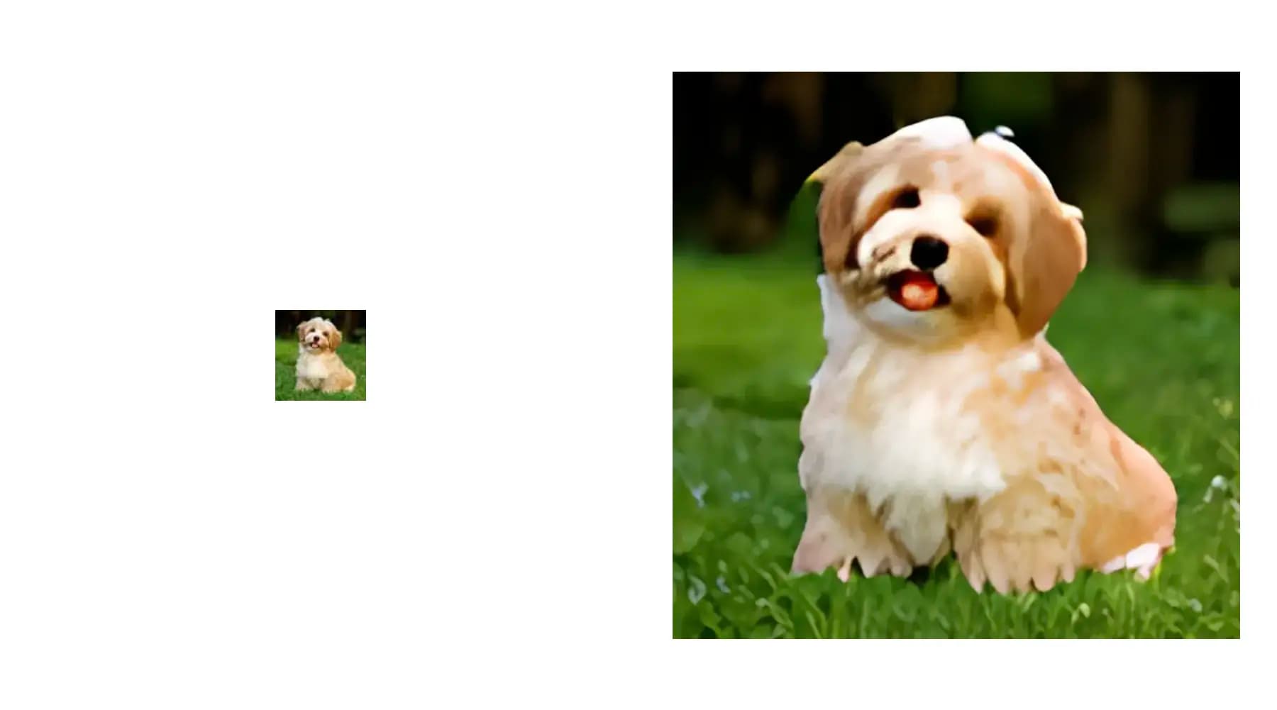 fluffy dog in 64 pixels by 64 pixels